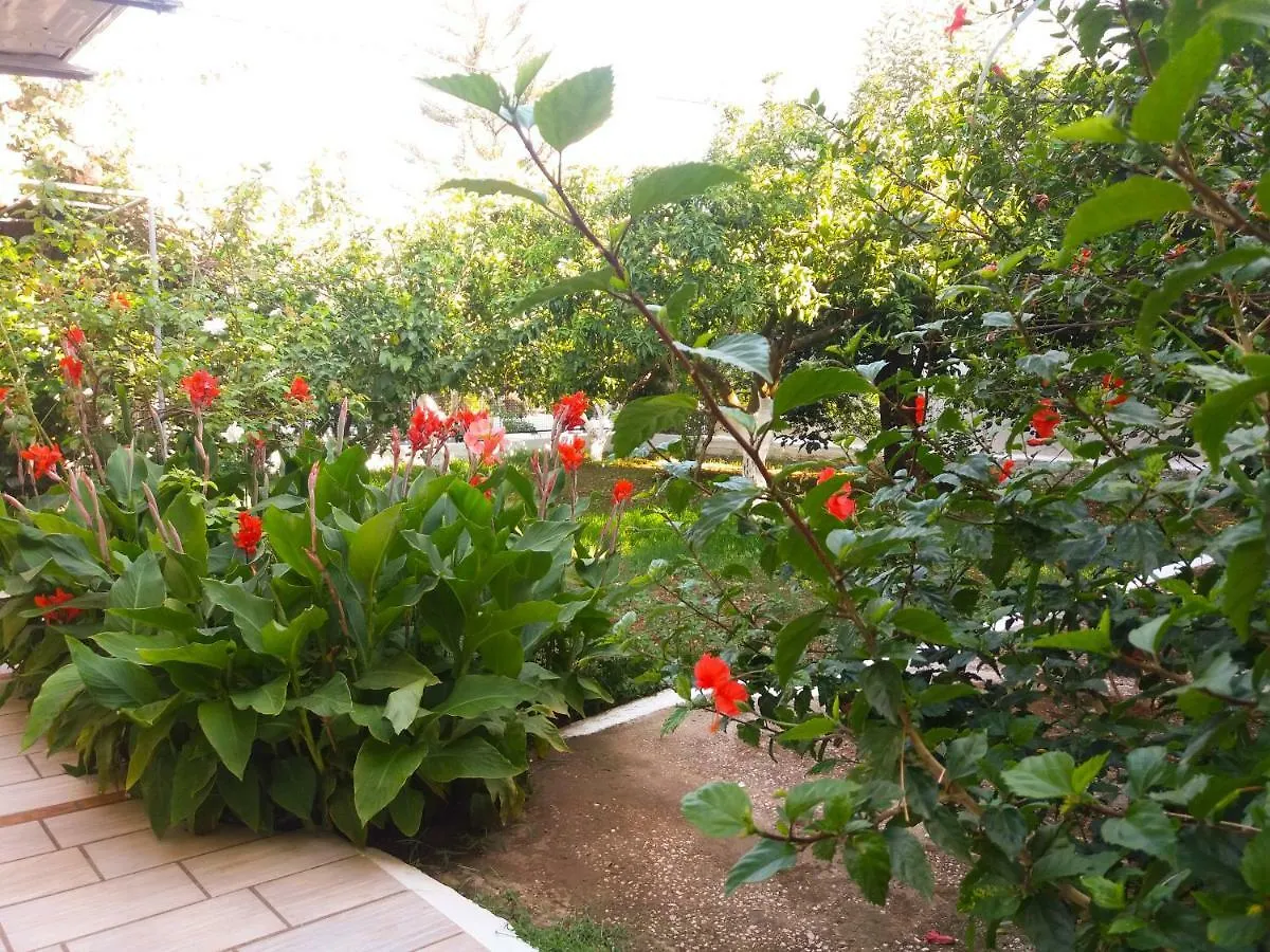 House With Garden Near The Sea Apartment Agia Efimia Greece